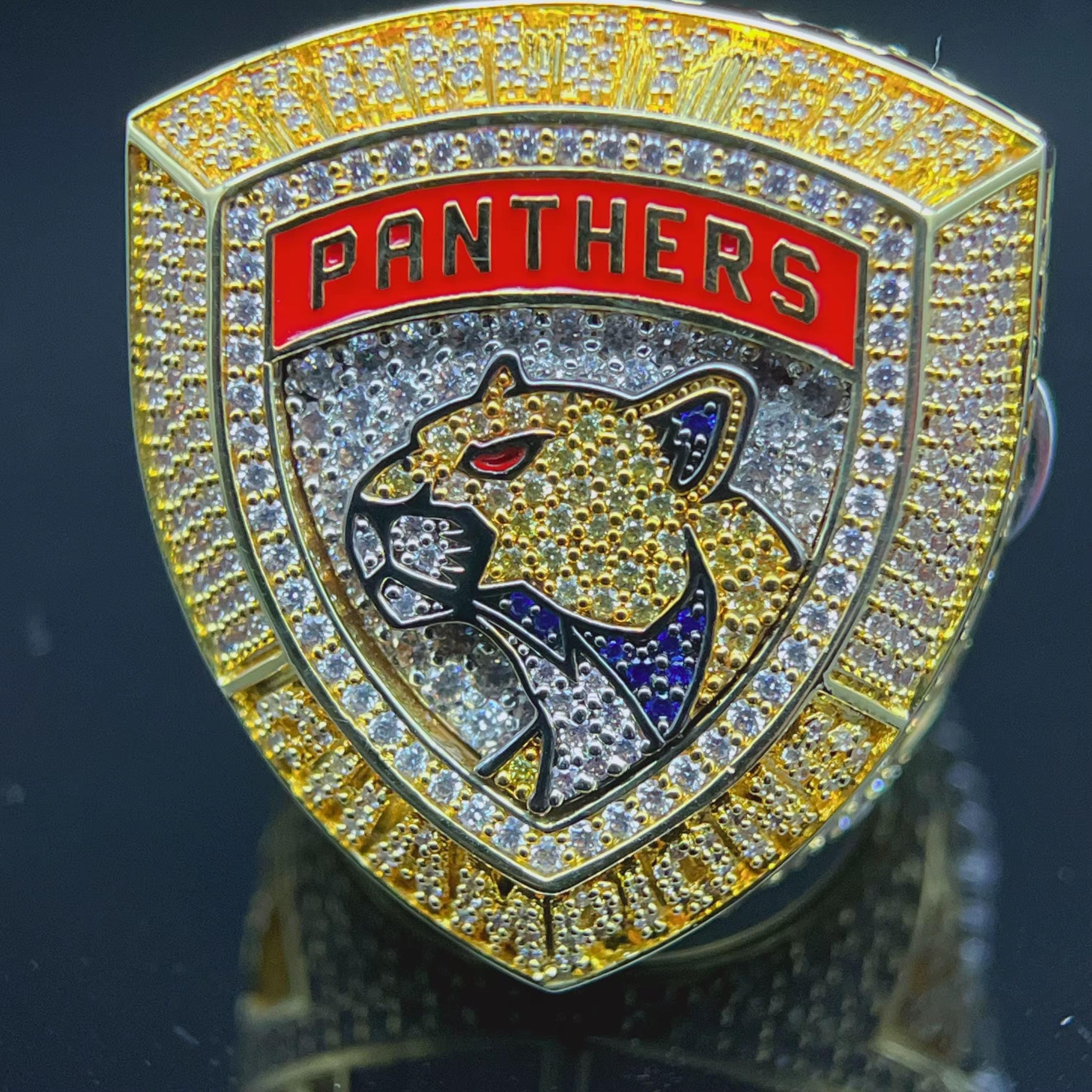 Panthers logo with a gold and diamond-encrusted border on a dark background